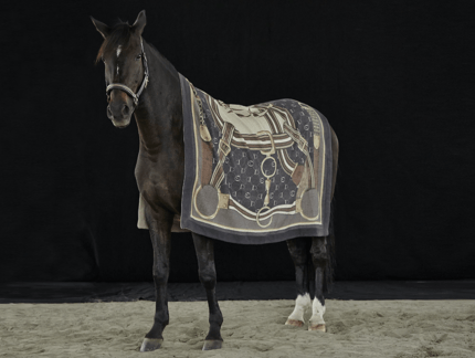 Ruitersportwinkel, Rijbroeken, Paardenrijkleding, Freejump, Vestrum, Equiline, Rambo, Samshield, Kask, Kingsland in Beerse, Antwerpen